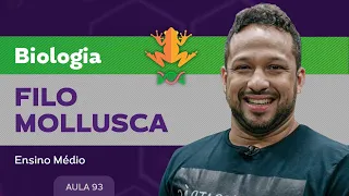 Filo mollusca​ - Biologia - Ensino Médio