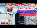 How to travel with pet in flight Southwest airline pet policy