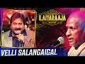Download Lagu Velli Salangaigal | Kaadhal Oviyam | Ilaiyaraaja Live In Concert Singapore