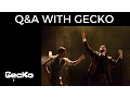 FAQs for a Gecko Performer | Education | Gecko
