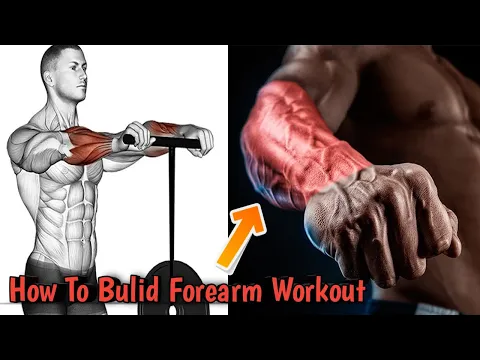 Download MP3 How To Build Huge Forearms || BEST Exercises for Bigger Forearms Workout