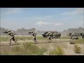 US ground troops arrived at the border to enter Iranian territory, but it all ended badly.