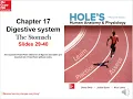 Holes Chapter 17 Digestive system Stomach slides 29-40