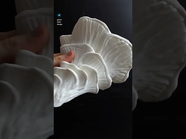 Mushroom shelf “Pleurotus Djamor” video thumbnail