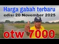 Harga gabah hari ini 20 November 2025@Petanimuda2putra 