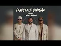 Redimi2 ❌ Wisin ❌ Gocho - Conéctate Conmigo (Audio Oficial)