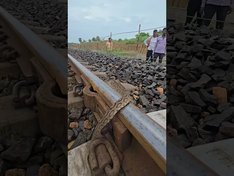Amazing Russell's Viper Snake In Railway Track 🐍😱 #shorts #snakevideo #sarprakshak