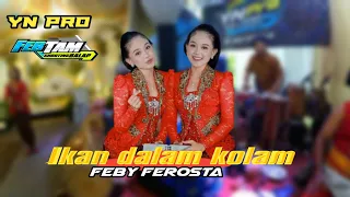 ikan dalam kolam feby ferosta yn pro fdk audio