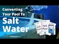 Converting Your Pool To Salt Water