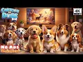 NO ADS Dog cartoon for Puppies Barking Ultimate Autumn Dog TV for Dogs to Watch Scoutpaw