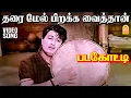 Lagu Tharaimel Pirakka Vaithaan - Video Song | தரை மேல் பிறக்க வைத்தான் | Padagotti | M.G.R | Saroja Devi