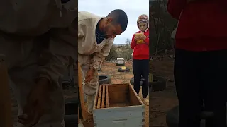 كيفية تغذية الطورود الضعيفة 