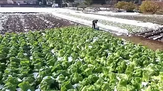 قناة نجمة أيلول    خاطرة ١٢٧   كن حقيقيا         دندنها