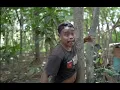 Download Lagu STORY WA PENYOK  WOKO CHANNEL HD // KANCANE YO DI PIKIR NO 😂😂