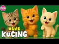 Lagu ANAK KUCING MEONG MEONG - Lagu Anak Anak - Lagu Anak \u0026 Balita Paling Viral Terbaru