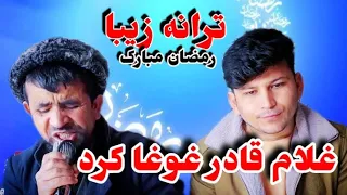 قاری غلام قادر غوغا برپا کرد نعت خوان مشهور افغانستان Karimi Media 