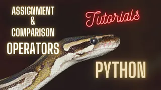 Assignment and Comparison Operators in Python Python Tutorial