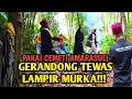 Lagu BANG REY LAMPUNG PECUT GERANDONG PAKAI CEMETI AMARASULI
