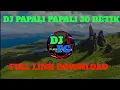 Download Lagu DJ PAPAPALI PAPAPALI 30 DETIK FULL DOWNLOAD