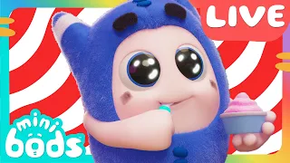 🔴 LIVE TV 🔴 Minibods Full Episodes 🌈 Preschool Cartoons
