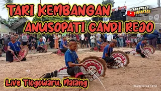 Download Tari Kembangan The Legend Anusopati Candi Rejo ACR Kidal Tumpang Live Tlogowaru Malang MP3