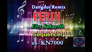 Download Elvy Sukaesih - Perih || Dangdut Remix [karaoke] || sx-KN7000 MP3