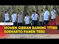 Download Lagu [FULL] Momen Wapres Gibran Bersama Titiek Soeharto Panen Tebu hingga Lihat Drone Pertanian