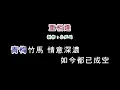 (伴奏版)費玉清-重相逢(DIY卡拉OK字幕)
