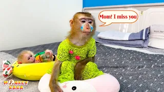 Download Monkey Kaka and monkey Mit are sad because they miss mom MP3