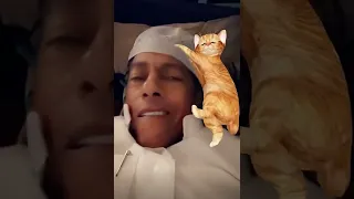 شباب البومب أتحداك يا القطوة البطلة 