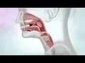 What is Throat Cancer Cancer Research UK