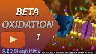 Download Beta Oxidation of Fatty acids Made Simple-Part 1 MP3