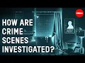 How did detectives solve the case of the bloody fingerprints - Theodore E Yeshion