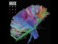 Madness - Muse