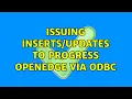 Issuing to Progress OpenEdge via ODBC