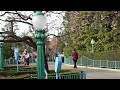 【4K】TDL　ミニー、ウィー・ラブ・ユー！　2023年3月4日　Tokyyo Disneyland "Minnie, We Love You!"