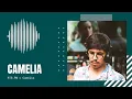 Download Lagu RTS.FM x Camelia - Fake Society 01.08.2018