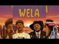Djy Vino & Kabza De Small - Wela (Official Audio)