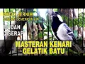 Download Lagu Masteran kenari paud mudah diserap | GELATIK BATU | Ampuh dengan suara gemericik air