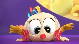 Have you seen Chicky? | Where's Chicky? | Cartoon Collection in English for Kids | New episodes