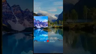 يا عين فيك القلب معجب 