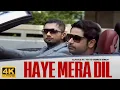 Lagu Haye Mera Dil (4K Video) | Alfaaz Feat. Yo Yo Honey Singh | Latest Punjabi Song 2025 | Speed Records