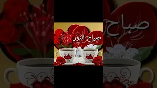 كل اللي معايا في اللايف ربنا يصلح حالك ويروق بالكم يا رب دائما 