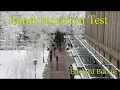 The Randomization Test Using R