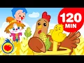 Download Lagu Os Pintinhos Dizem 🐣🐥 e + canções para crianças (120 min) | Um Herói do Coração ❤️