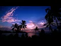 Aesthetic Vol 20 Night Beach Palm Trees