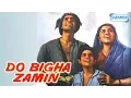 Lagu Do Bigha Zamin - Balraj Sahni - Nirupa Roy - Hindi Full Movie