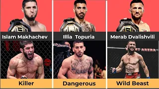 Merab Dvalishvili vs Islam Makhachev vs Ilia Topuria The Ultimate Stats Comparison