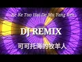Download Lagu 可可托海的牧羊人 Remix || Ke Ke Tuo Hai De Mu Yang Ren