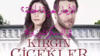 مسلسل الأزهار الحزينة Kırgın Çiçekler الحلقة 2 مترجمة للعربية 